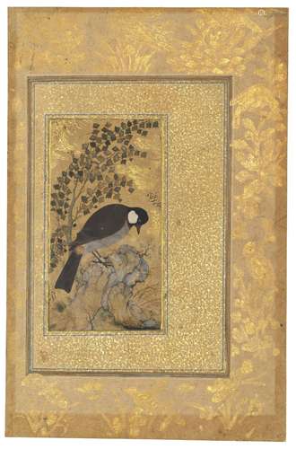 A WHITE-EARED BULBUL SIGNED REZA 'ABBASI, SAFAVID ISFAHAN, I...