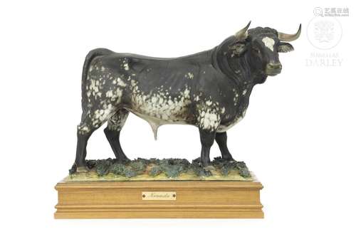 Fighting bull "Nevado" Algora, Spain 20th century