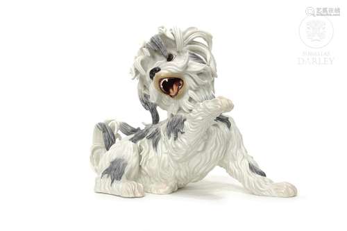 "Bichon dog" Algora, Spain, 20th century