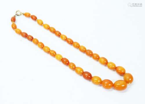 33 Chinese Butterscotch Amber Bead Necklace; 17G