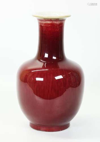 Chinese Underglaze Red Crackle Porcelain Vase