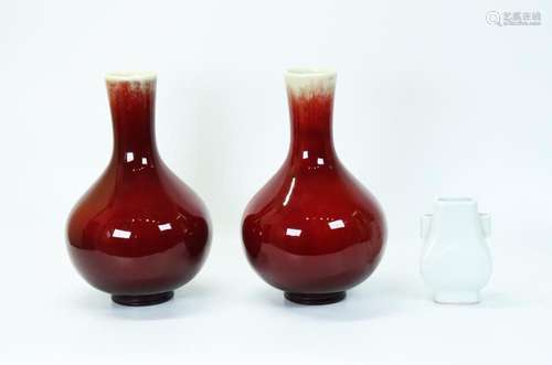 Pr Chinese Red Porcelain, 1 Blanc de Chine Vases