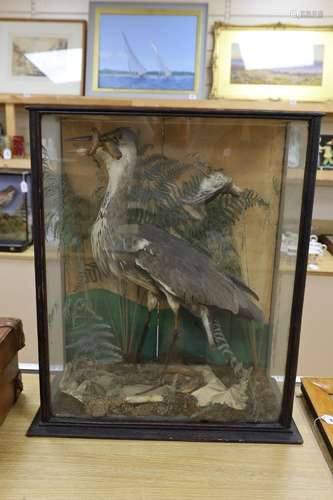 A cased taxidermic heron amongst foliage with caught eel bai...