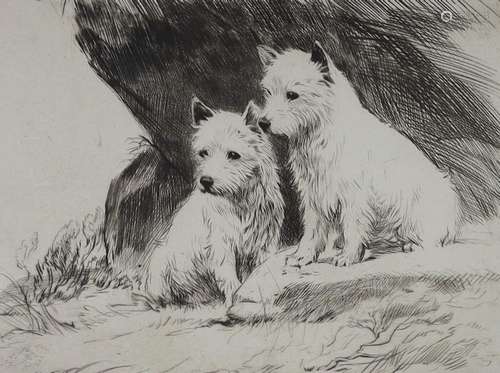 George W. Soper (1870-1942), drypoint etching, White Terrier...