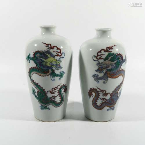 Doucai dragon bottle