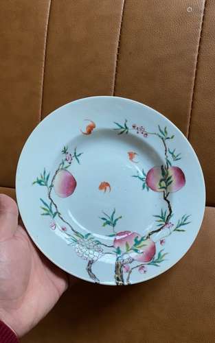 Chinese Famille Rose Porcelain Plate