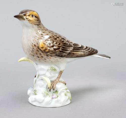 Lark, Meissen, 1953, 1st choice, des