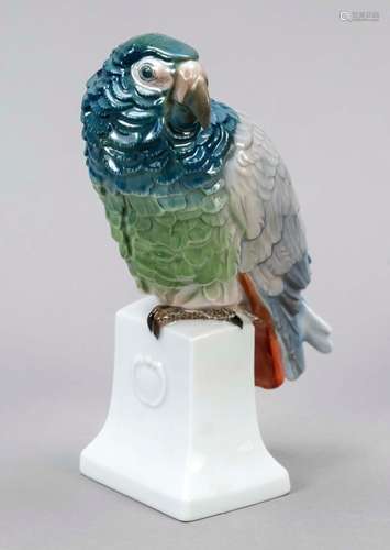 Parrot on base, Rosenthal, Selb, 193