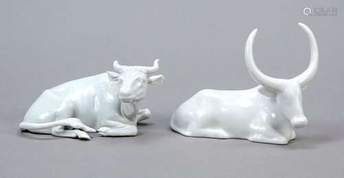 Two mammals, 20th century, lying ox,