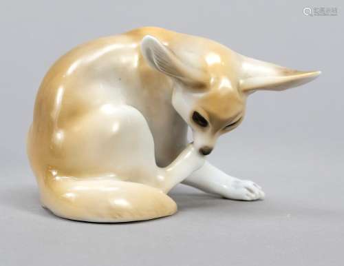 Desert fox, Rosenthal, Selb, 1929, d