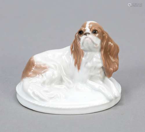 Small 'King Charles dog', Rosenthal,