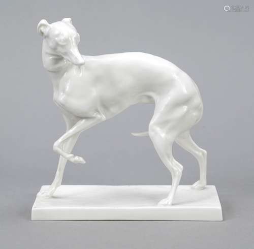 Standing greyhound, Nymphenburg, c.