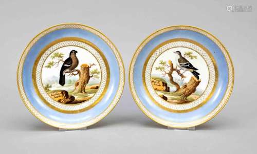 Pair of footed bowls, France, 19th c