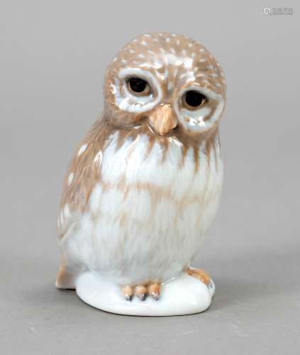 Sitting owl - annual figure 2020, Ro