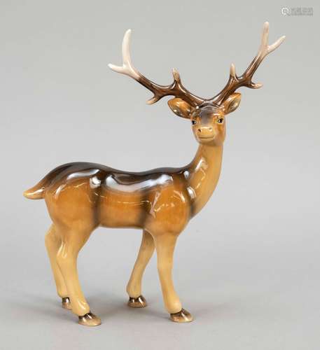 Standing stag, Hutschenreuther, 20th