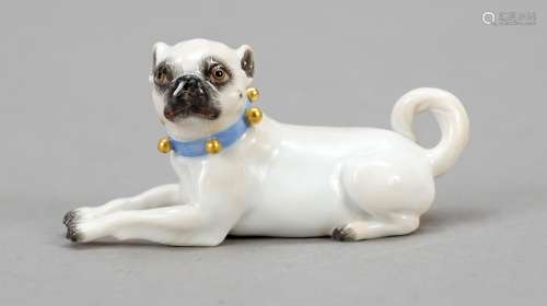 Miniature pug with bells, Meissen, y