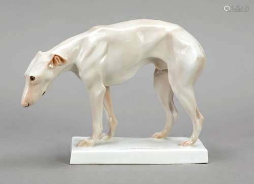 Greyhound, Rosenthal, 1920s, 2nd cho