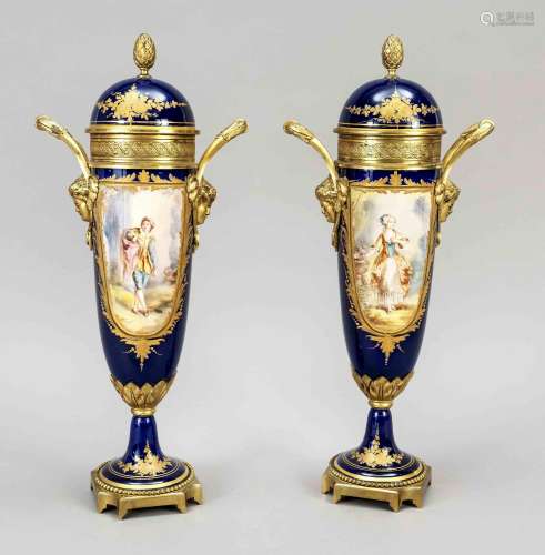 Pair of vases in the style of Sevres