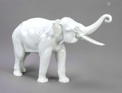 Imposing figure of a striding elepha