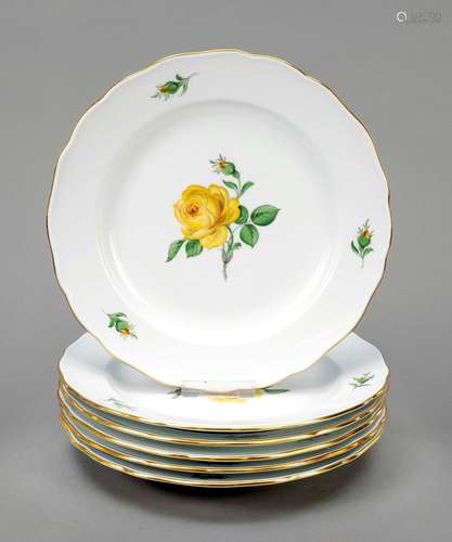 Set of 6 dinner plates, Meissen, mar