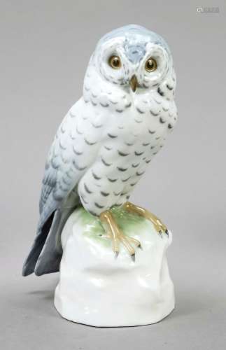 Snowy owl, Pfeffer/Gotha, mint mark,