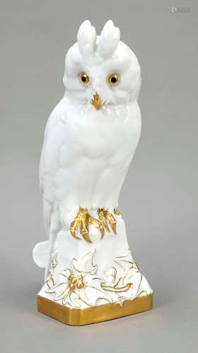 Long-eared owl / Eagle owl, Hutschen