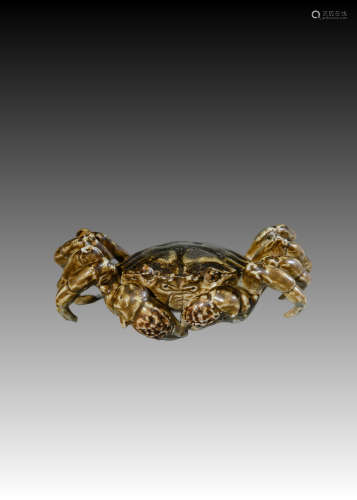 Bionic Porcelain Crab