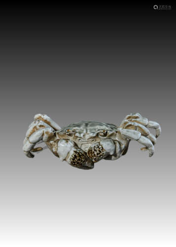 Bionic Porcelain Crab