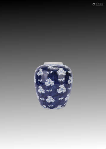 Blue and White Ice Plum Jar