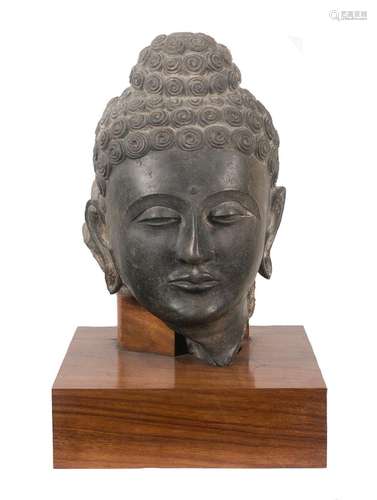 "Buddha". Head in sculpted schist. Gandarha. India