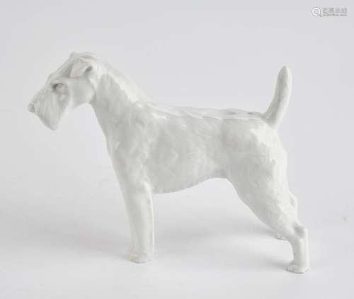 Porzellanfigur, "Drahthaar-Foxterrier", Meissen, S...