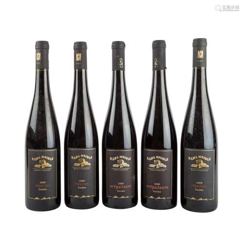 WEINGUT KARL HAIDLE 5 Flaschen "Ypsilon" 2006, 200...