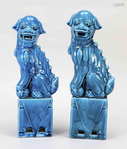 Two male lions, China, porcela