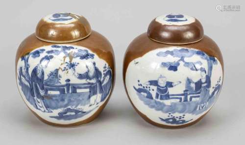 Pair of ginger pots (chin. jia