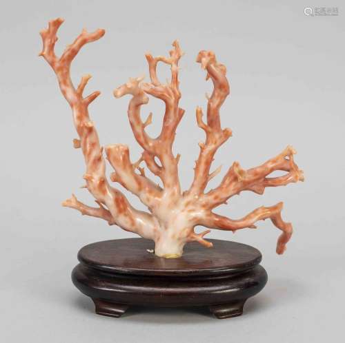 Coral carving tree, China, pro