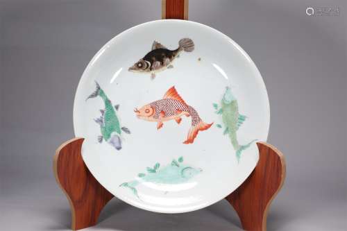 Colorful five fish plate of Kangxi in Qing Dynasty