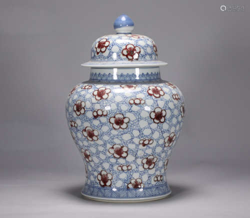 Qing Dynasty Kangxi blue and white underglaze red ice plum p...