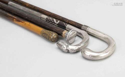 4 walking sticks, c. 1900, sticks o