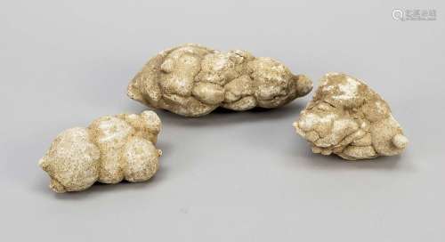 3 Coprolites, fossil excrements, fr
