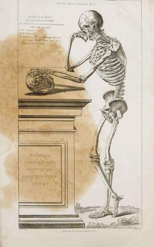 Anatomy after Vesalius -- ''N
