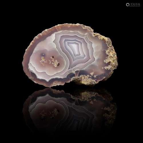 Laguna Agate Half Nodule