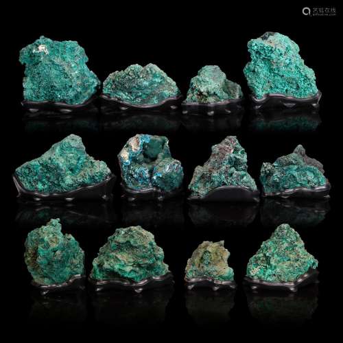 Twelve Chatoyant Malachite Specimens