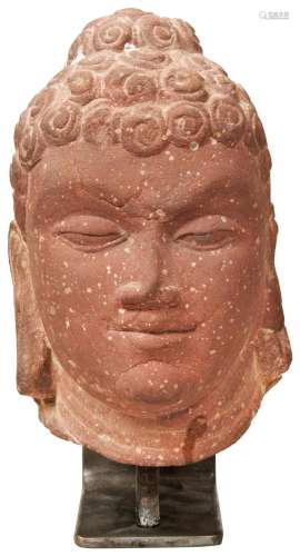 A MOTTLED SANDSTONE HEAD OF THE GUPTA BUDDHA, NORTHERN INDIA...