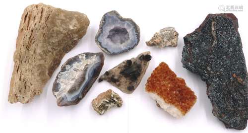 A collection of geological samples, each naturalistic and in...