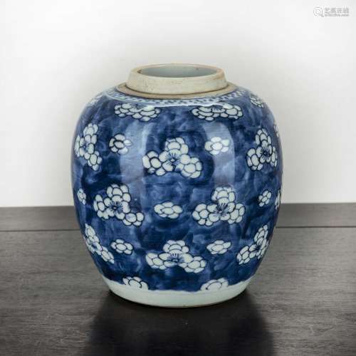 Small blue and white ginger jar Chinese, 18th Century with p...