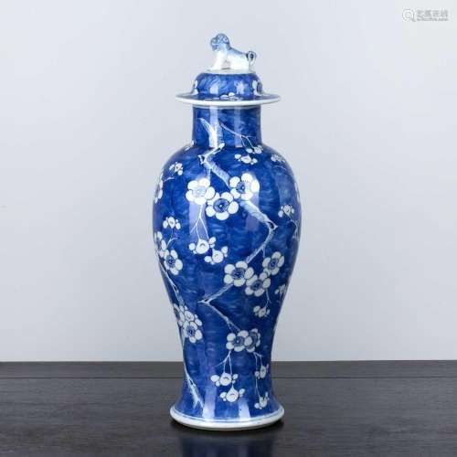 Blue and white lidded prunus vase Chinese, 19th Century deco...