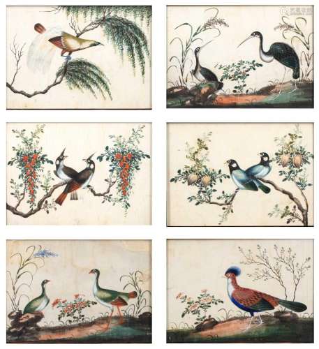 Set of six ornithological pith pictues Chinese, 19th Century...