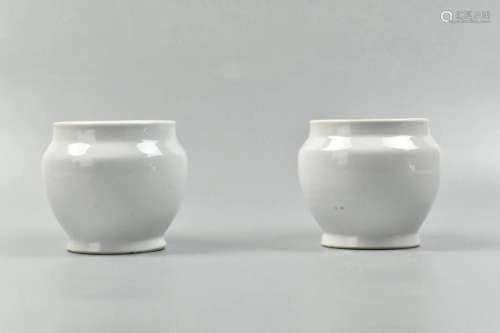 Pair of Chinese White Glaze Jars,19th C.