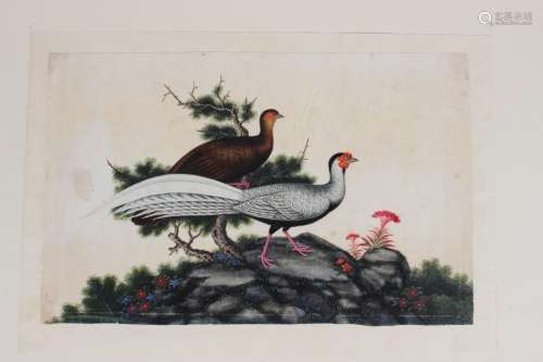 A Chinese export watercolour painting on rice paper
