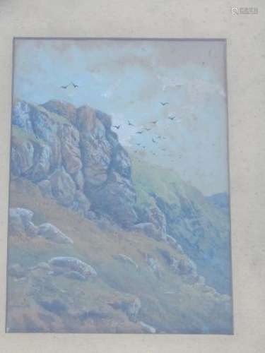 "Mountain landscape with circling jackdaws",waterc...